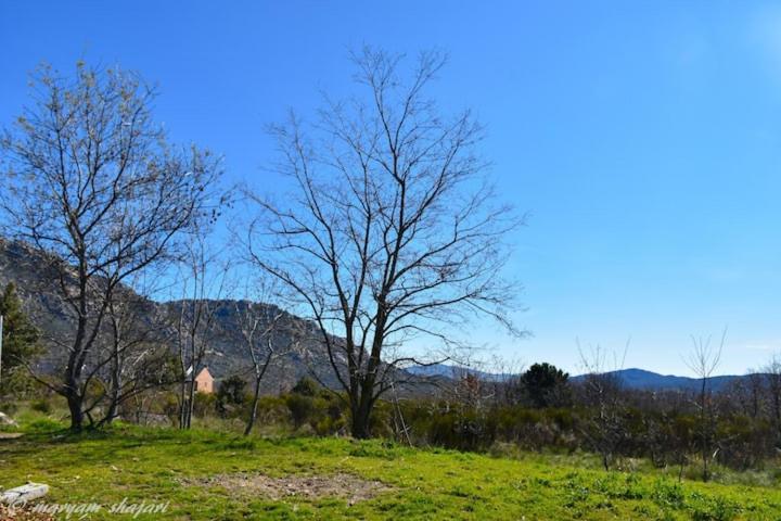 El descanso de Odín ¡Una auténtica posada vikinga! Mataelpino Extérieur photo
