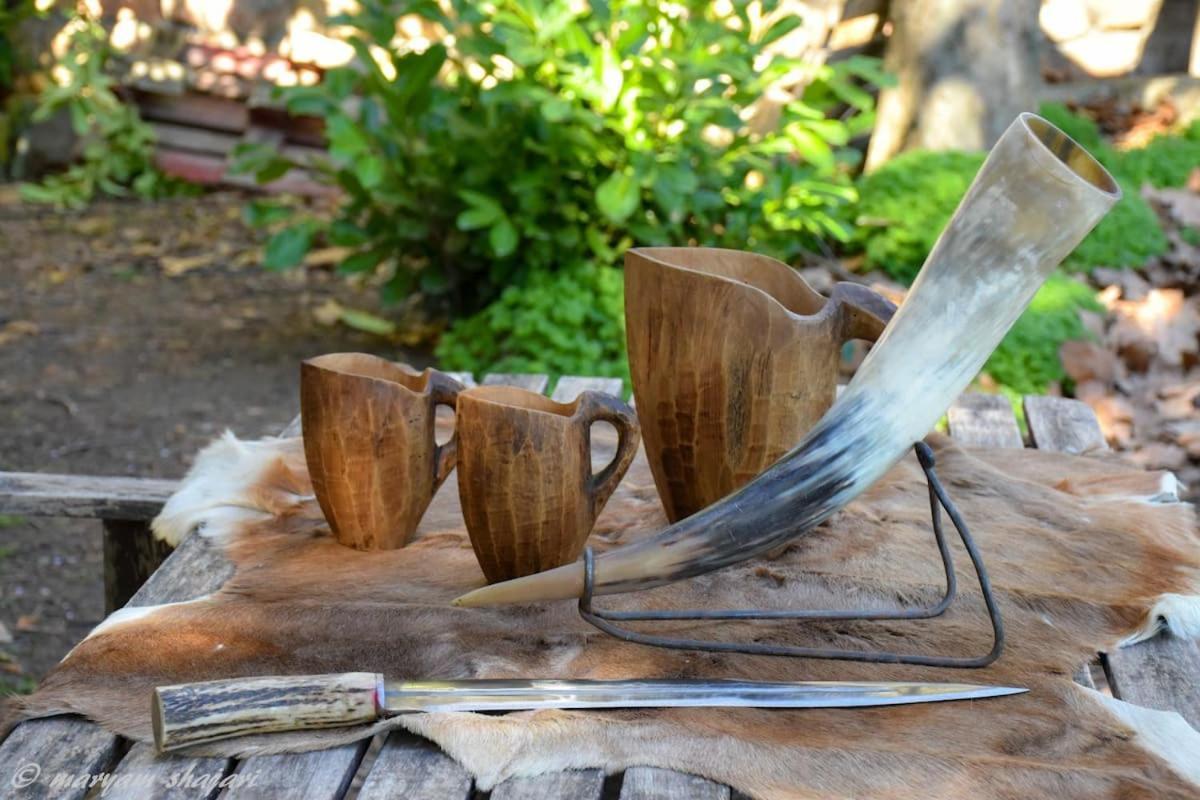 El descanso de Odín ¡Una auténtica posada vikinga! Mataelpino Extérieur photo
