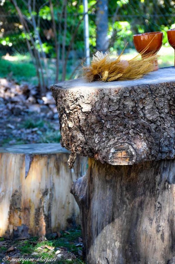 El descanso de Odín ¡Una auténtica posada vikinga! Mataelpino Extérieur photo